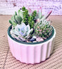Colorful 6" succulent arrangement in ceramic pot | Organic Soil | Great gift | Handcrafted Succulent Arrangement The Succulent Studio_646c39c0eb6afd00014f75c3 